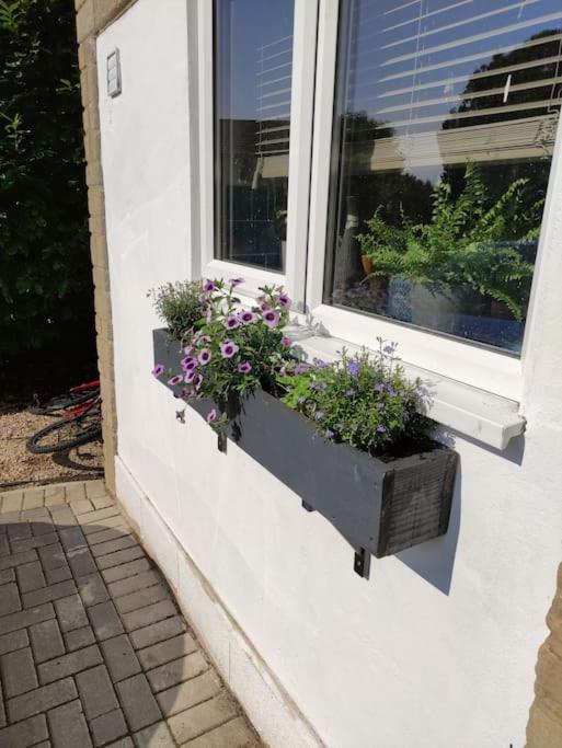 The Old Bar In Wiltshire - 1 Bedroom Guesthouse Chippenham  Eksteriør bilde